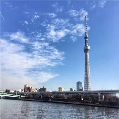 176神龙毁灭手机版下载